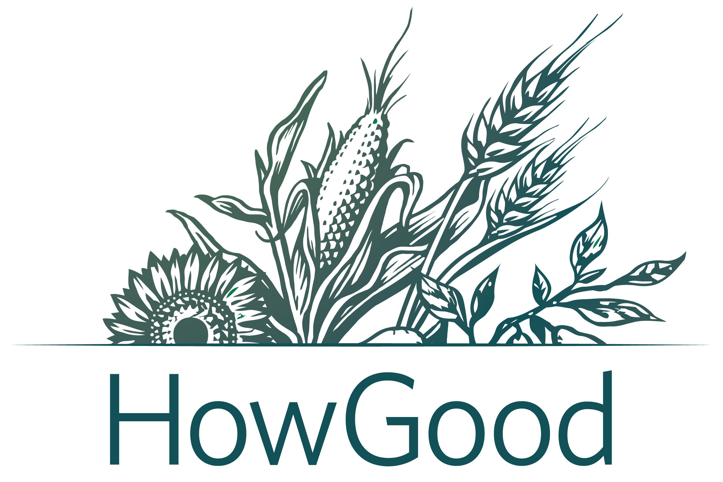 Howgoodlogo