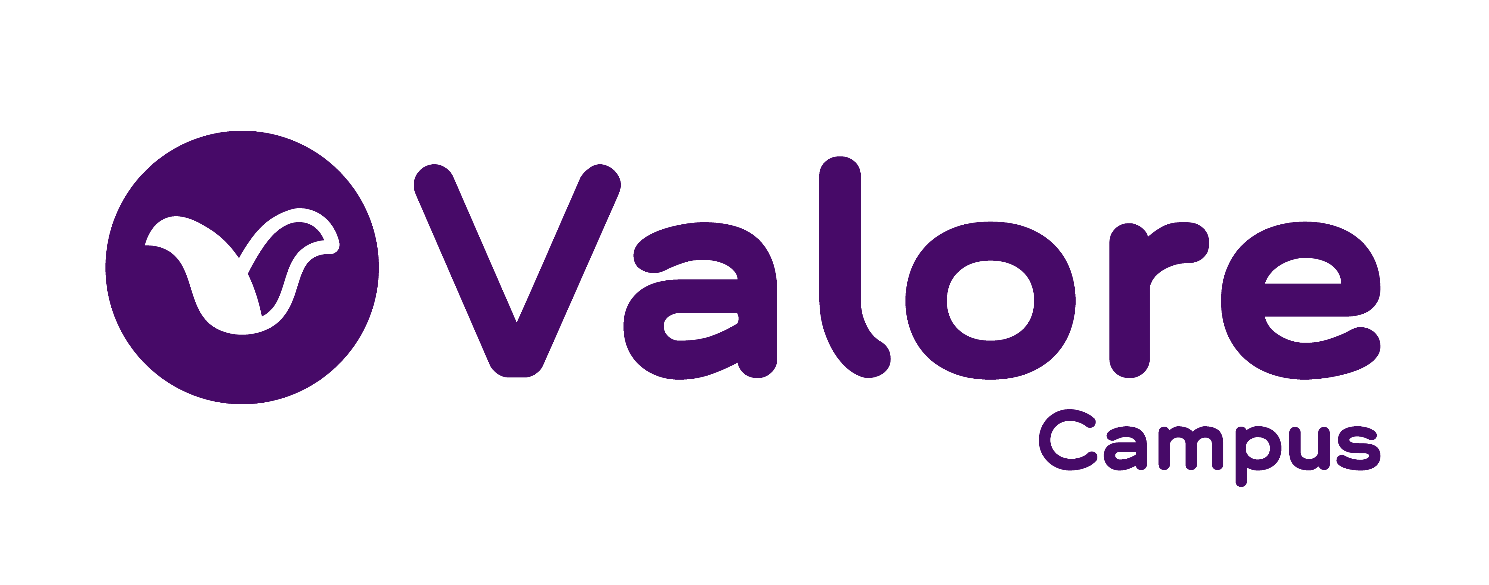 ValoreCampus_PrimaryColor (3)