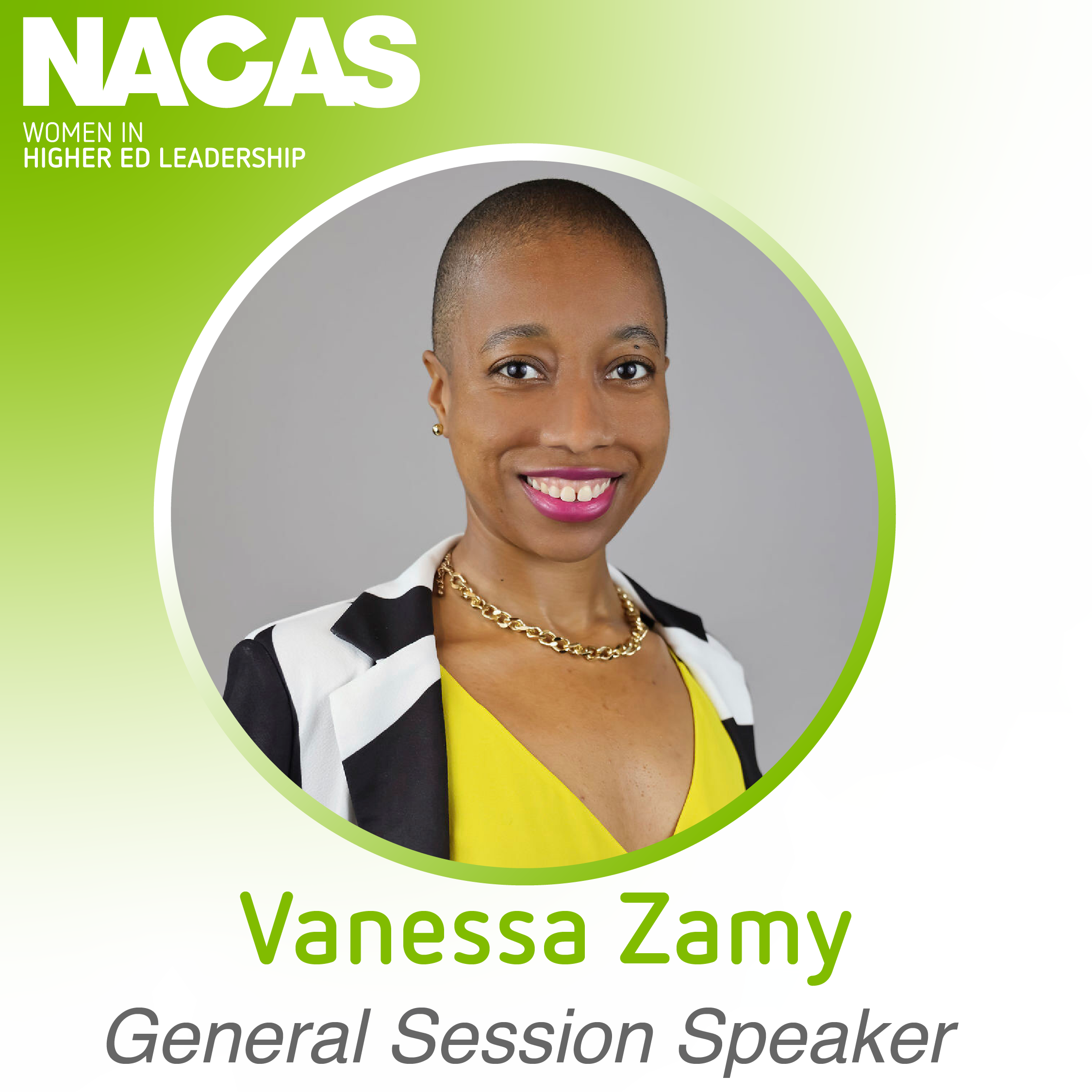 V.zamyspeaker